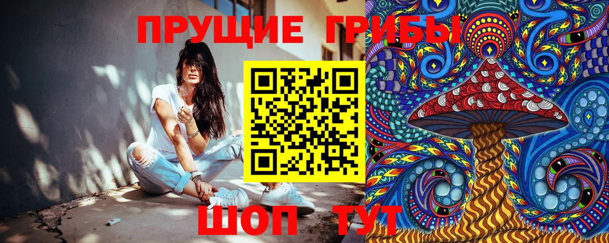 Кузнецк  Псилоцибиновые грибы Psilocybe  купить наркотик  Вход с VPN 